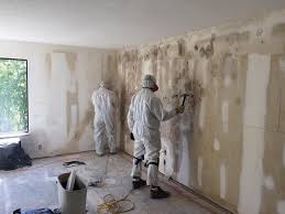 Why You Should Choose Our Mold Remediation Services in Bloomington, CA